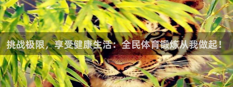 挑战极限，享受健康生活：全民体育锻炼从我做起！