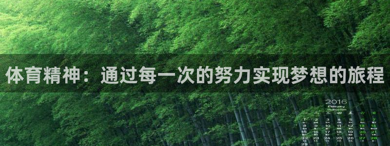 体育精神：通过每一次的努力实现梦想的旅程